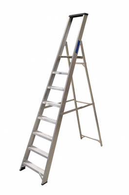 Lyte Platform Stepladder With Tooltray